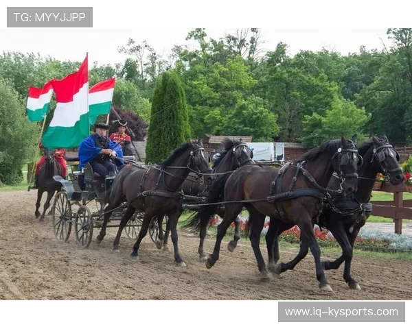克罗地亚马术协会建立马匹基因数据库，促进马匹选育与训练。，克罗地亚 马可波罗